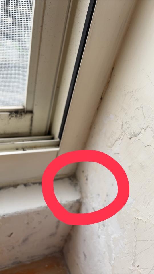 漏水處理案件圖片 漏水處理案件圖片