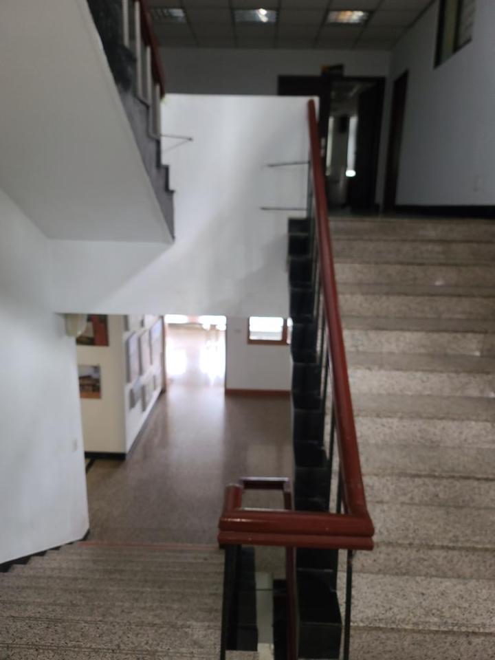 防墜網安裝案件圖片