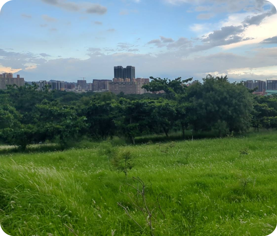 圍籬工程案件圖片 圍籬工程案件圖片