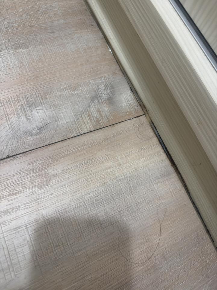 抓漏案件圖片 抓漏案件圖片