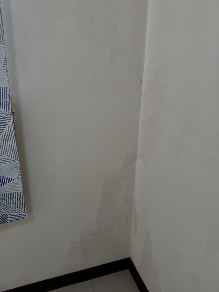 油漆工程案件圖片