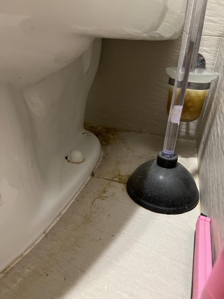 馬桶裝修案件圖片 馬桶裝修案件圖片