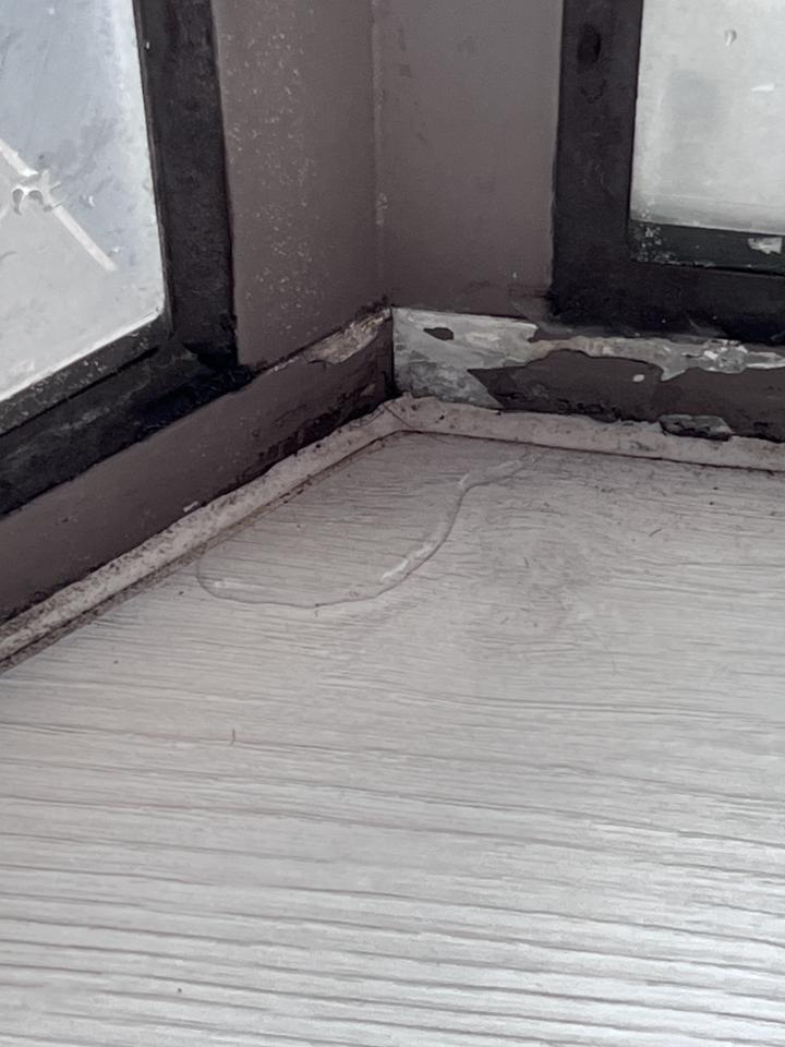 鋁門窗案件圖片 鋁門窗案件圖片