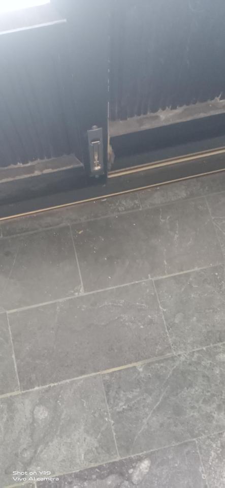 玻璃門案件圖片