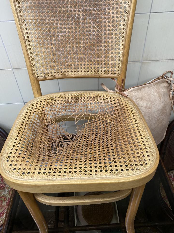 藤椅修理案件圖片 藤椅修理案件圖片