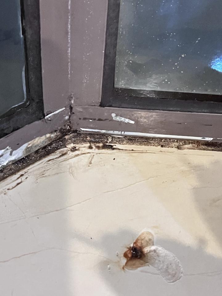 鋁門窗案件圖片 鋁門窗案件圖片