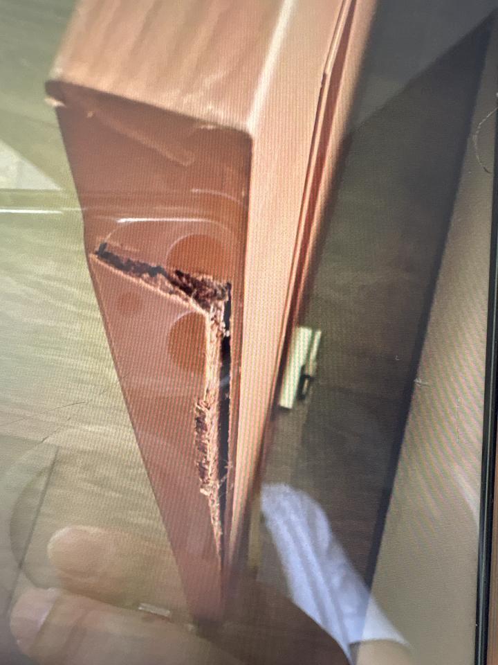 木門案件圖片 木門案件圖片