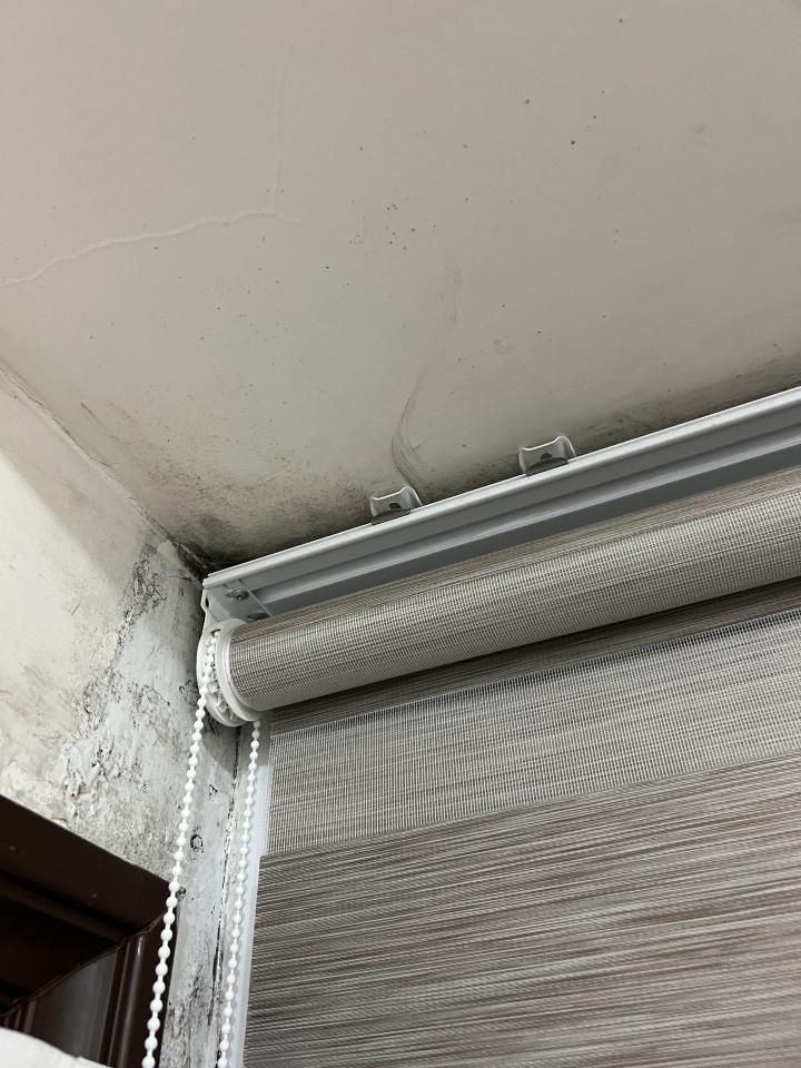 抓漏案件圖片 抓漏案件圖片