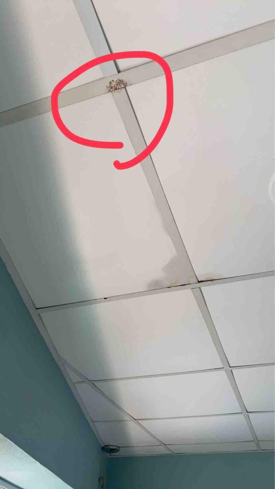 漏水處理案件圖片 漏水處理案件圖片