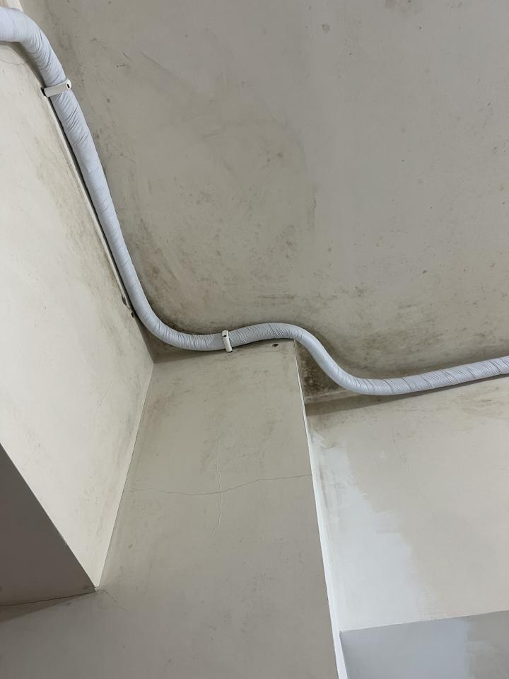 抓漏案件圖片 抓漏案件圖片