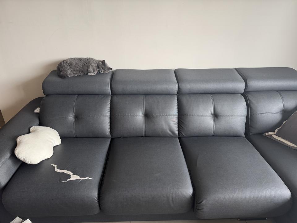 沙發修理案件圖片 沙發修理案件圖片