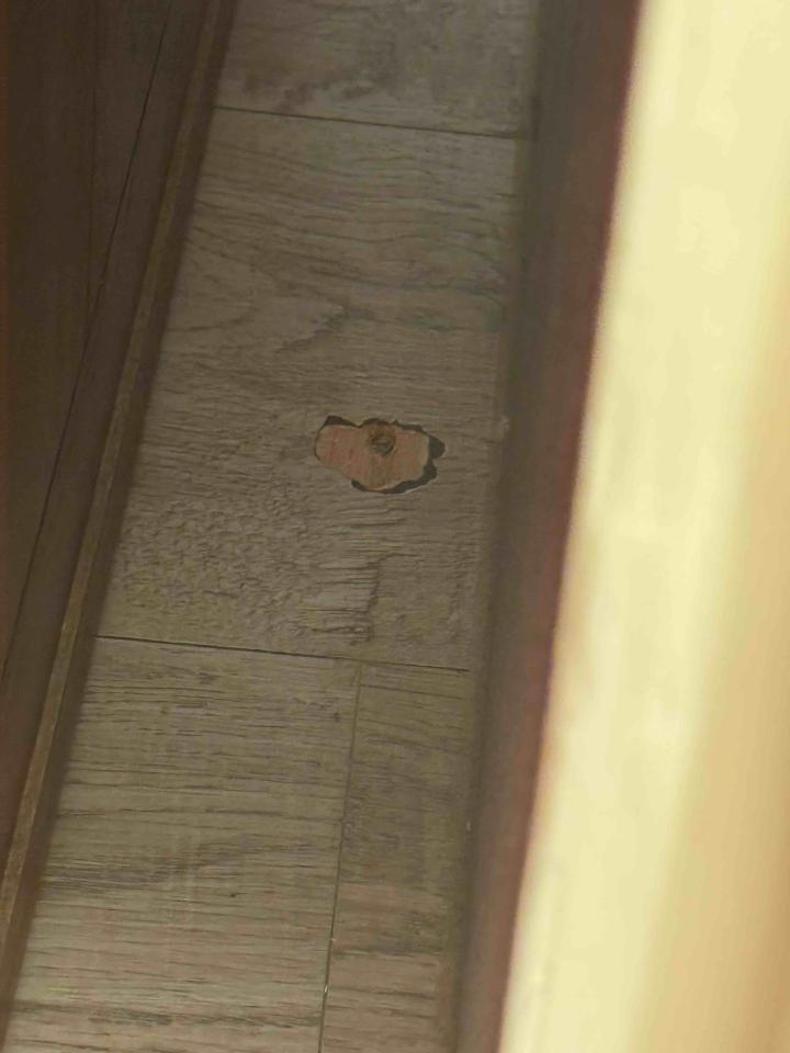 拉門案件圖片 拉門案件圖片