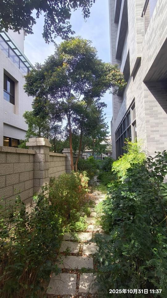 園藝維護案件圖片 園藝維護案件圖片