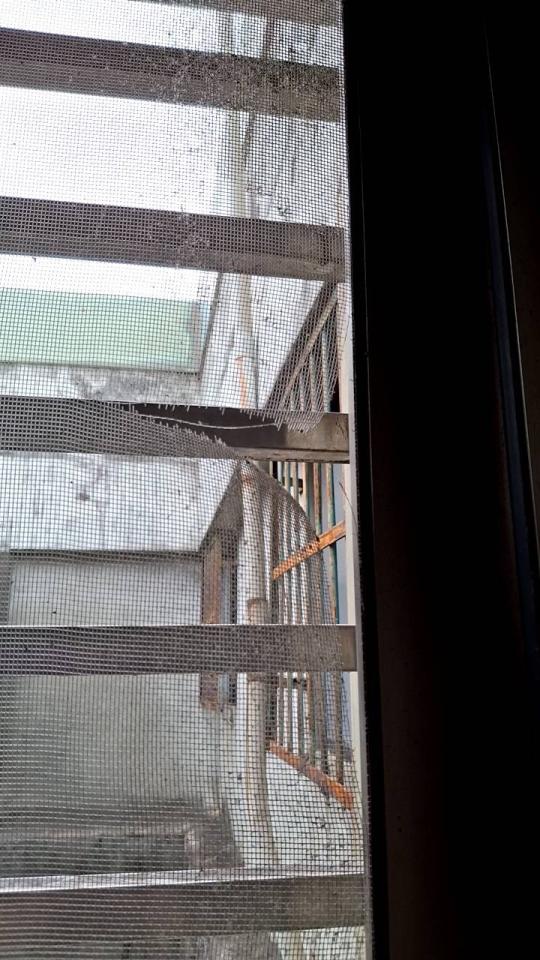 紗窗裝修案件圖片 紗窗裝修案件圖片