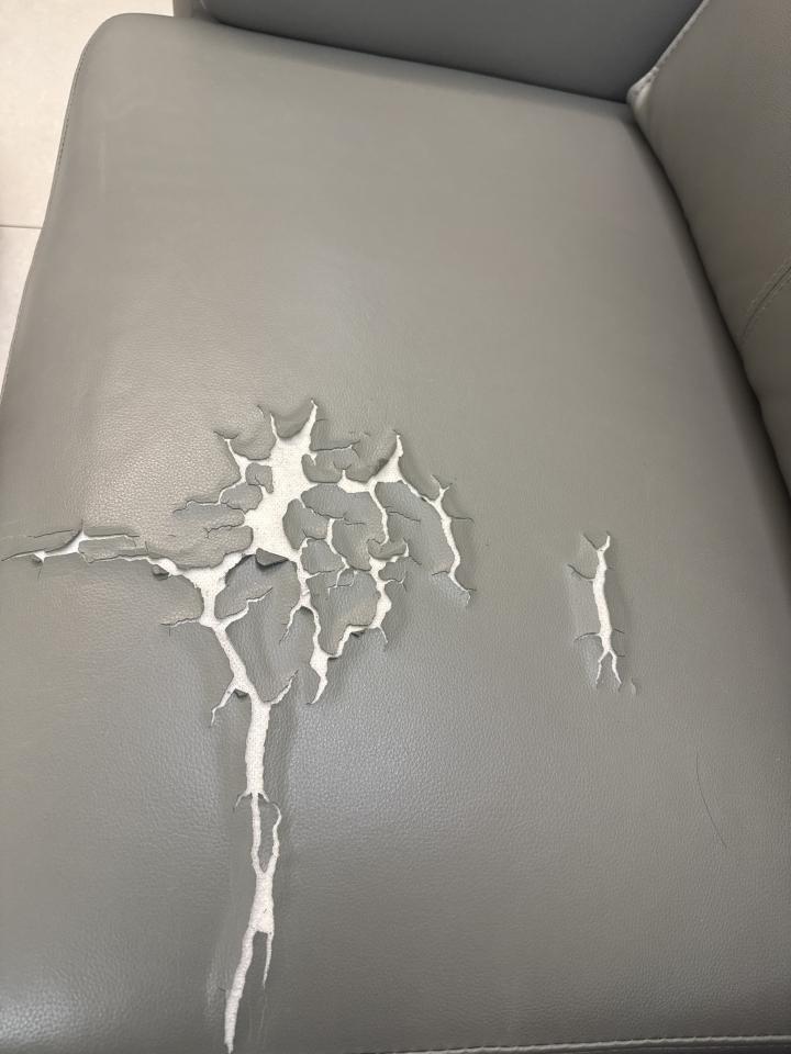 沙發修理案件圖片 沙發修理案件圖片