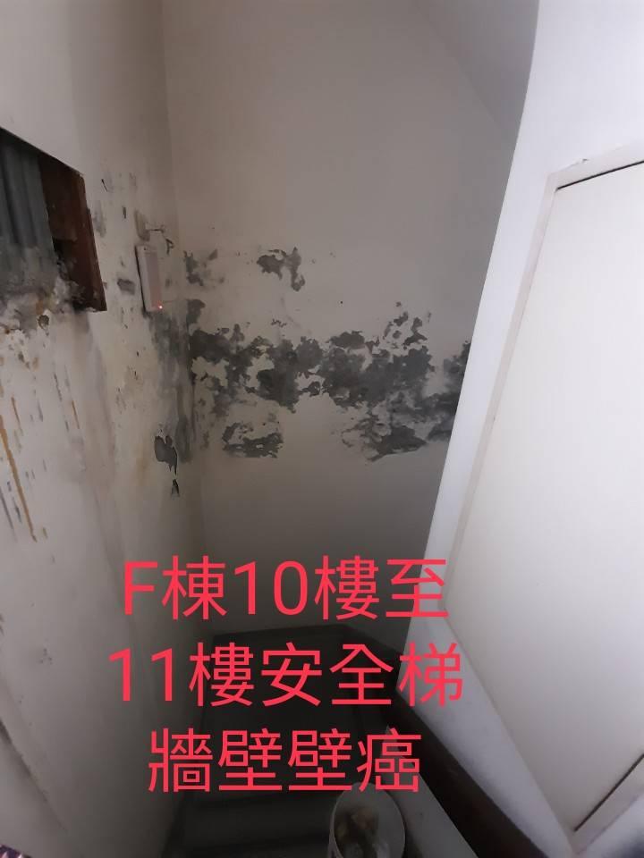 鷹架出租案件圖片