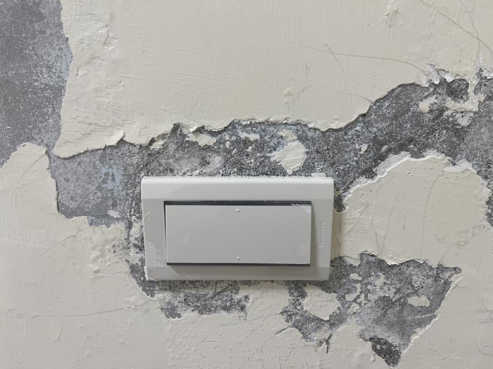 壁癌處理案件圖片