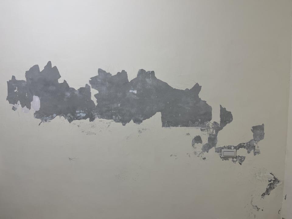 壁癌處理案件圖片