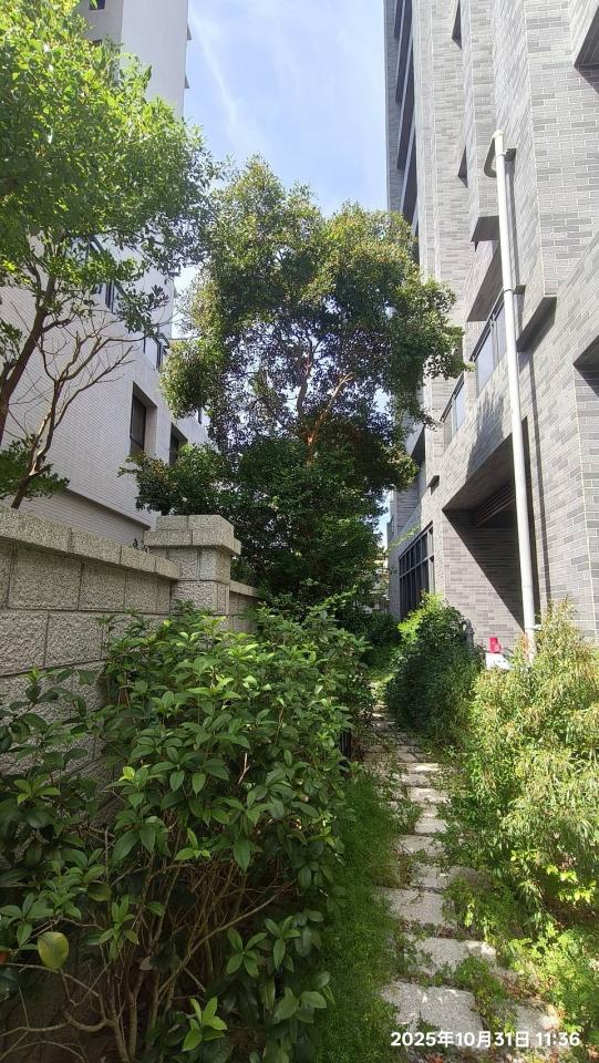 園藝維護案件圖片 園藝維護案件圖片