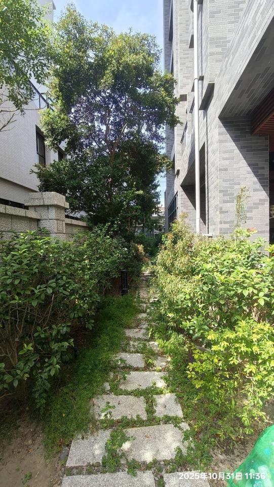 園藝維護案件圖片 園藝維護案件圖片