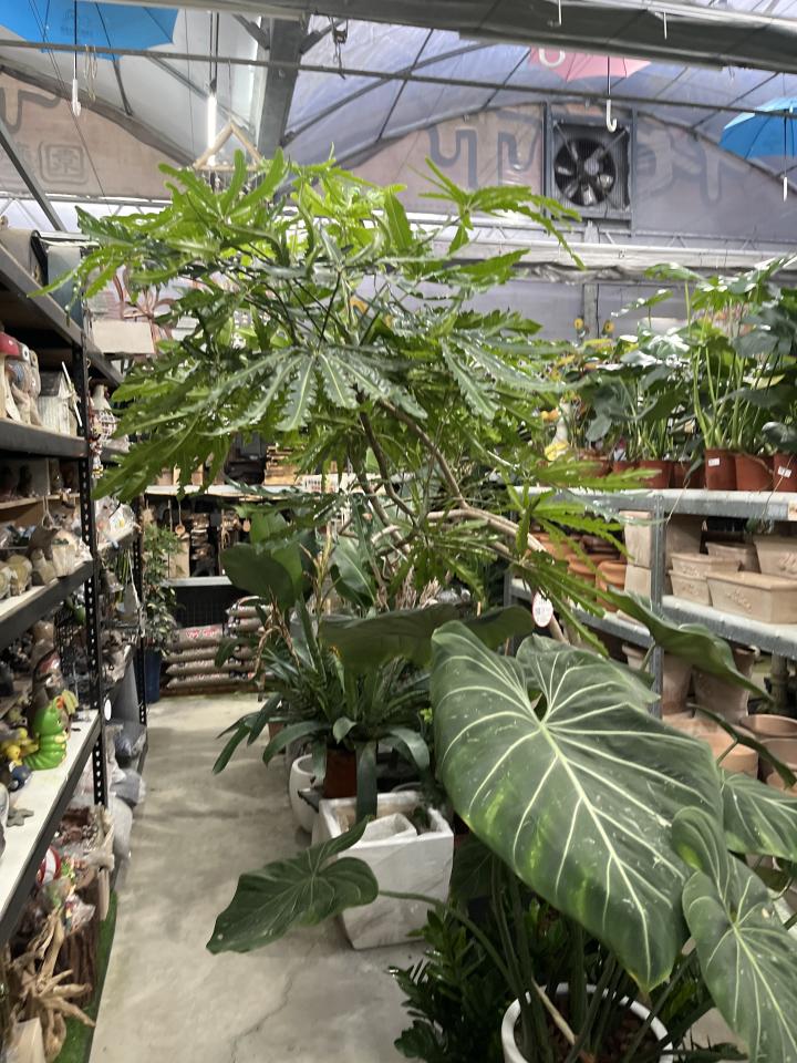 載貨運輸服務案件圖片