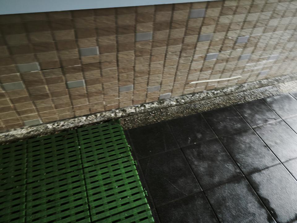 抓漏案件圖片 抓漏案件圖片