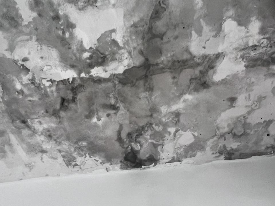 漏水處理案件圖片 漏水處理案件圖片