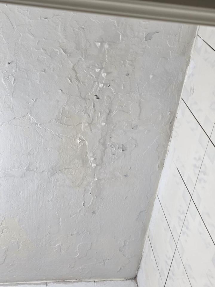 屋頂防水案件圖片 屋頂防水案件圖片