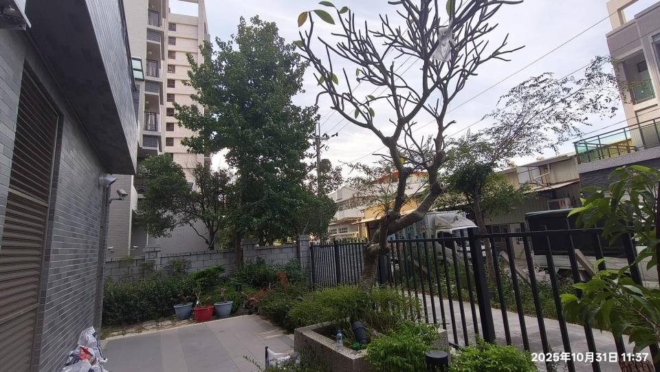 園藝維護案件圖片 園藝維護案件圖片