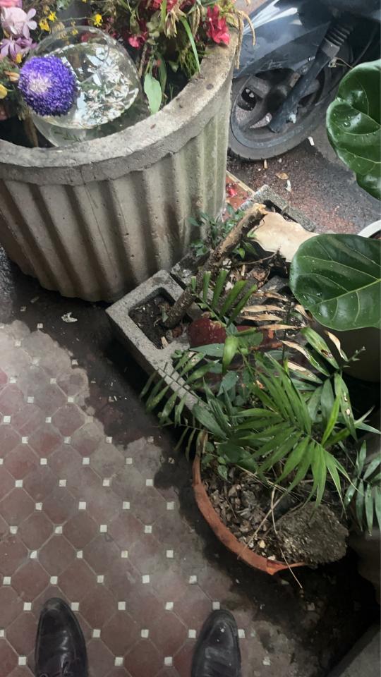 大型垃圾回收案件圖片