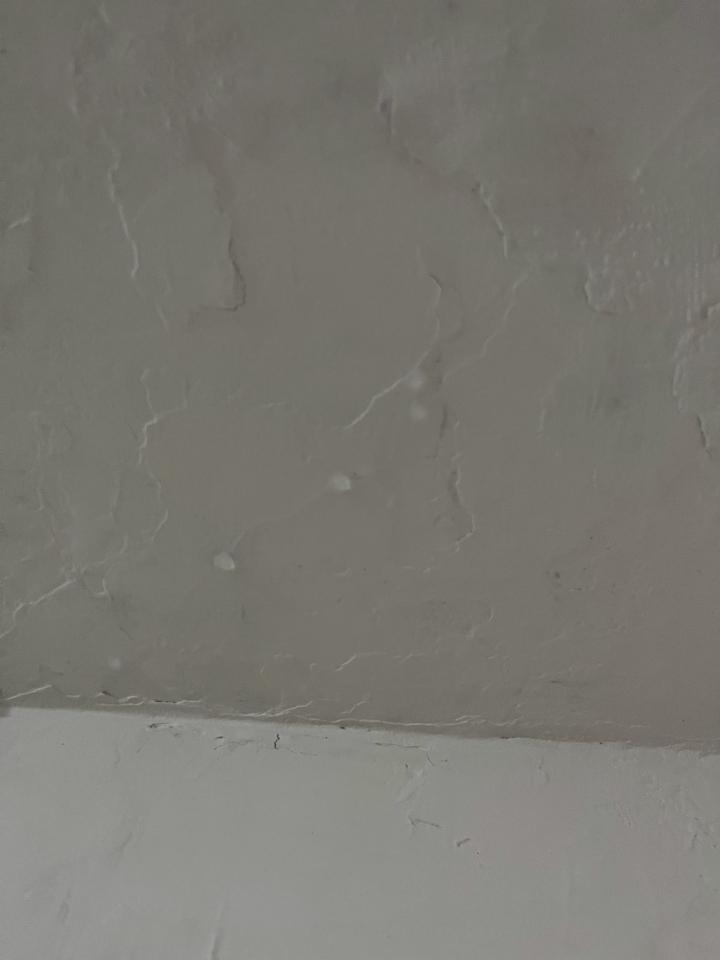 抓漏案件圖片 抓漏案件圖片