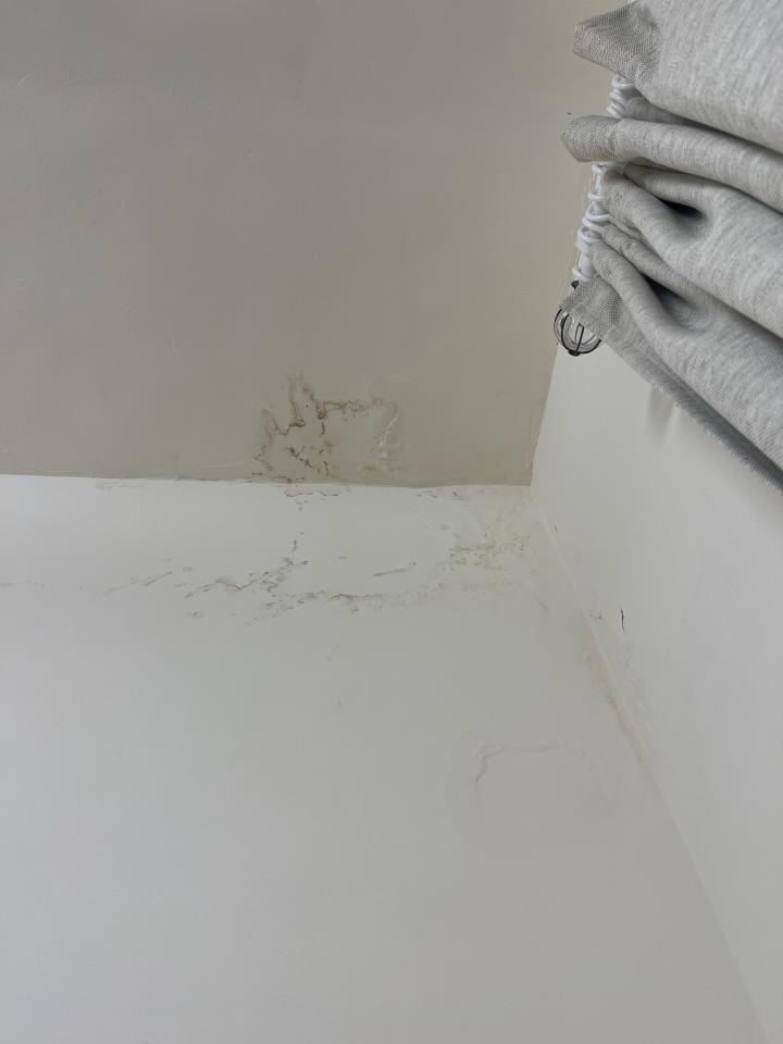 壁癌處理案件圖片