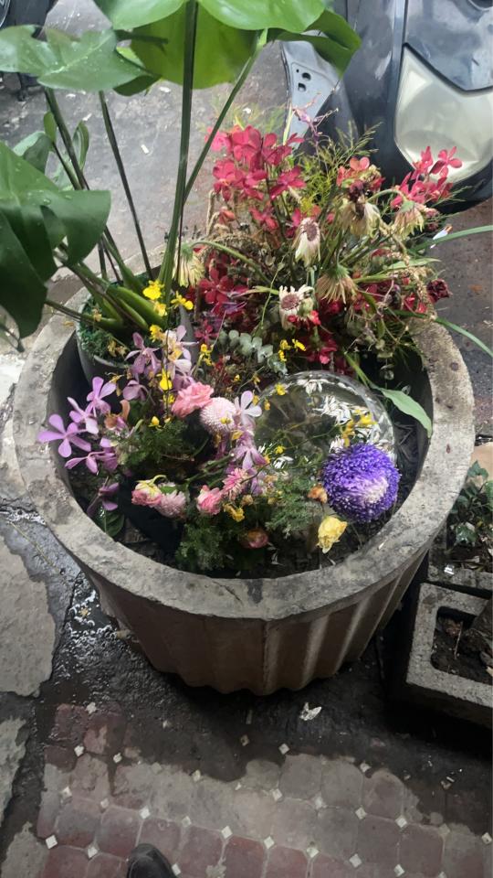 大型垃圾回收案件圖片