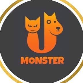 提供寄養服務的專家有怪獸貓狗正向教育學院