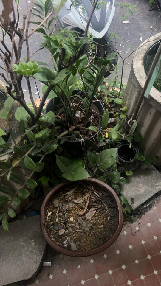 大型垃圾回收案件圖片