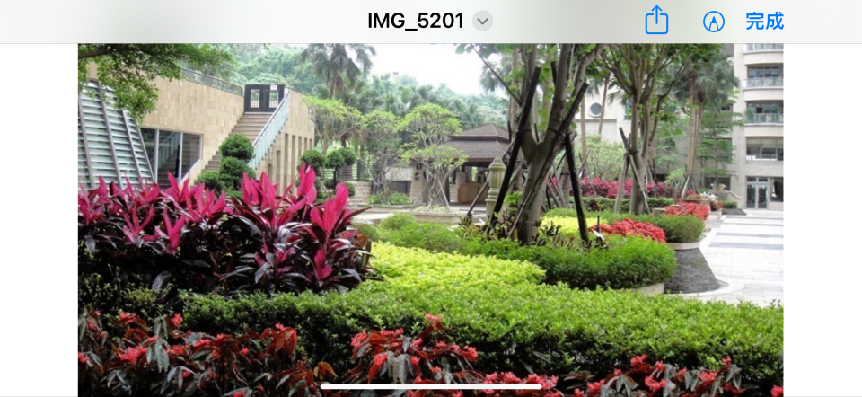 園藝維護案件圖片 園藝維護案件圖片