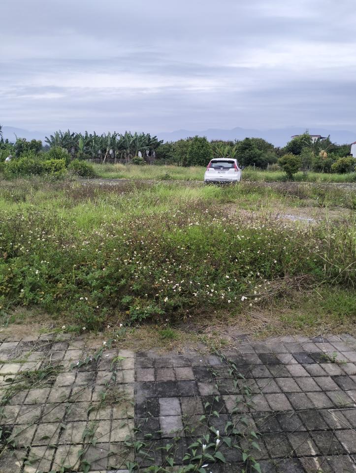 園藝維護案件圖片