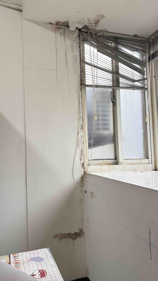 壁癌處理案件圖片