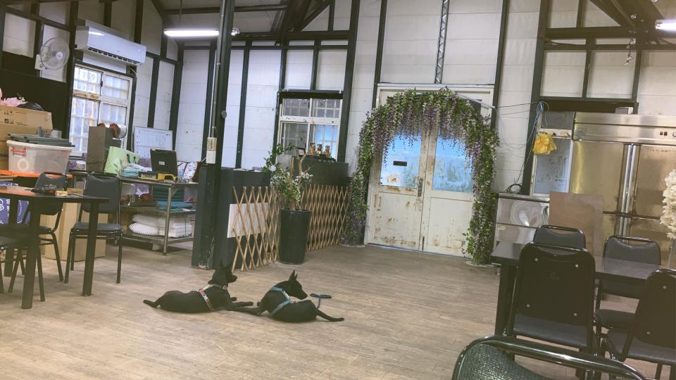 隔音工程案件圖片