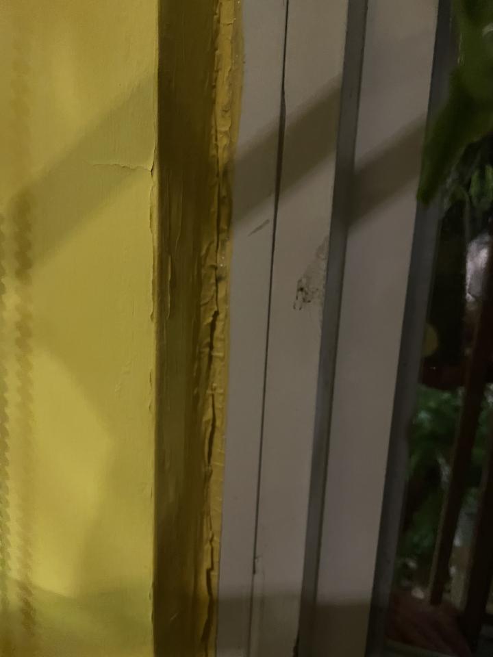 漏水處理案件圖片