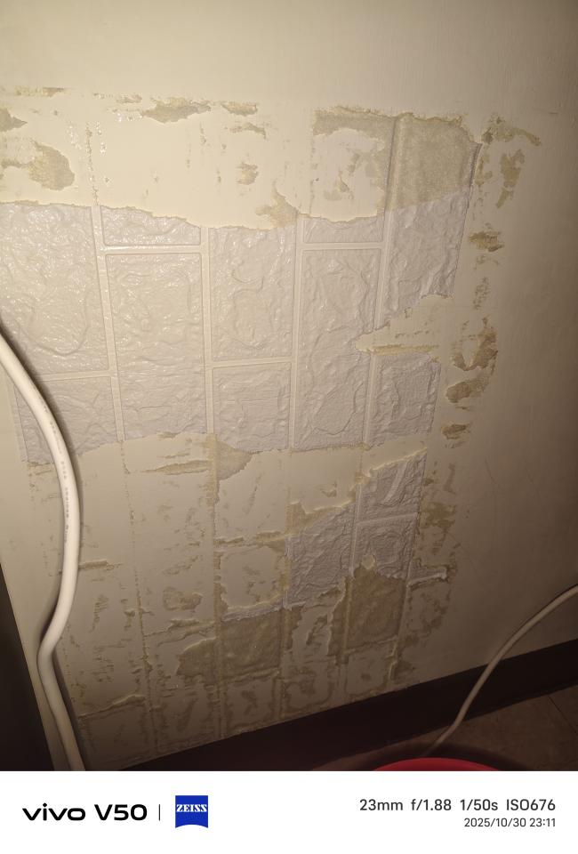 壁紙清除案件圖片