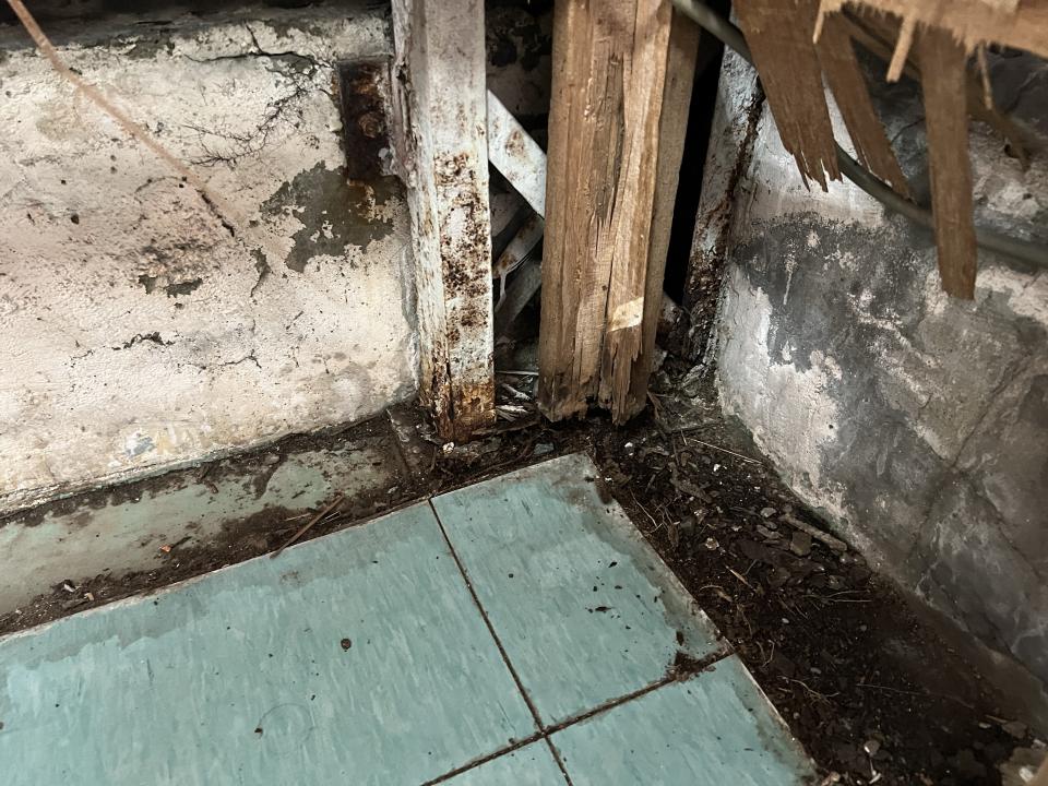 鐵皮屋頂案件圖片