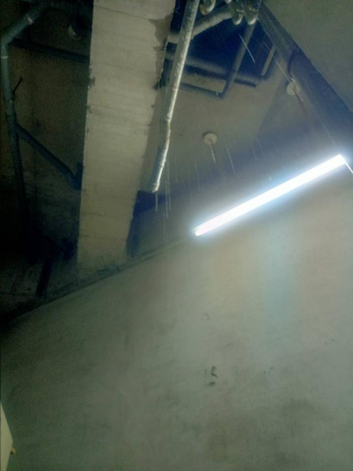 抓漏案件圖片 抓漏案件圖片