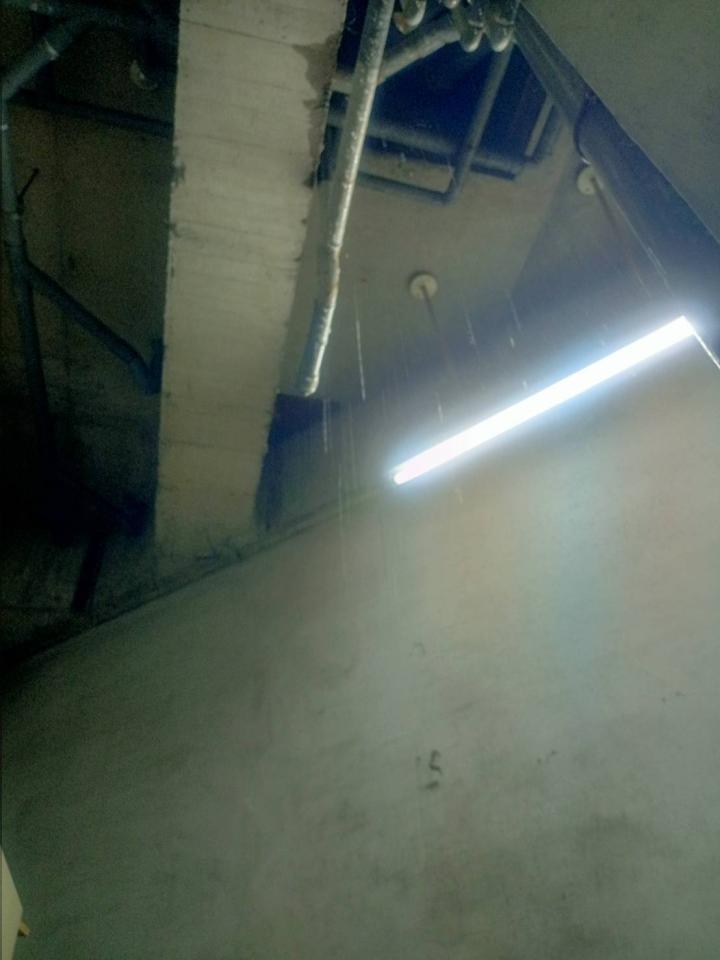 抓漏案件圖片 抓漏案件圖片