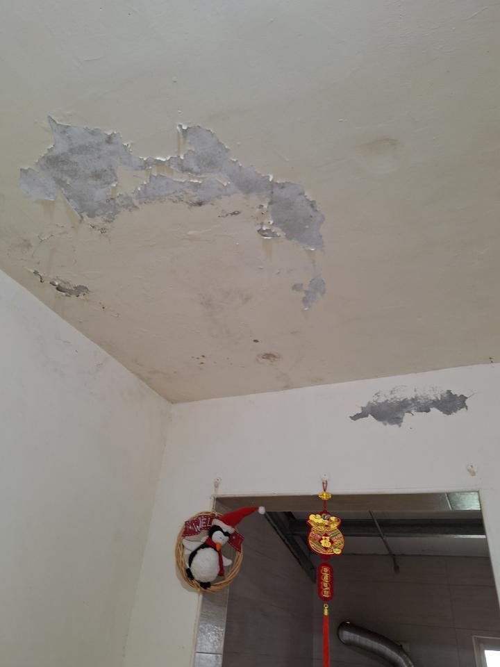 油漆工程案件圖片 油漆工程案件圖片