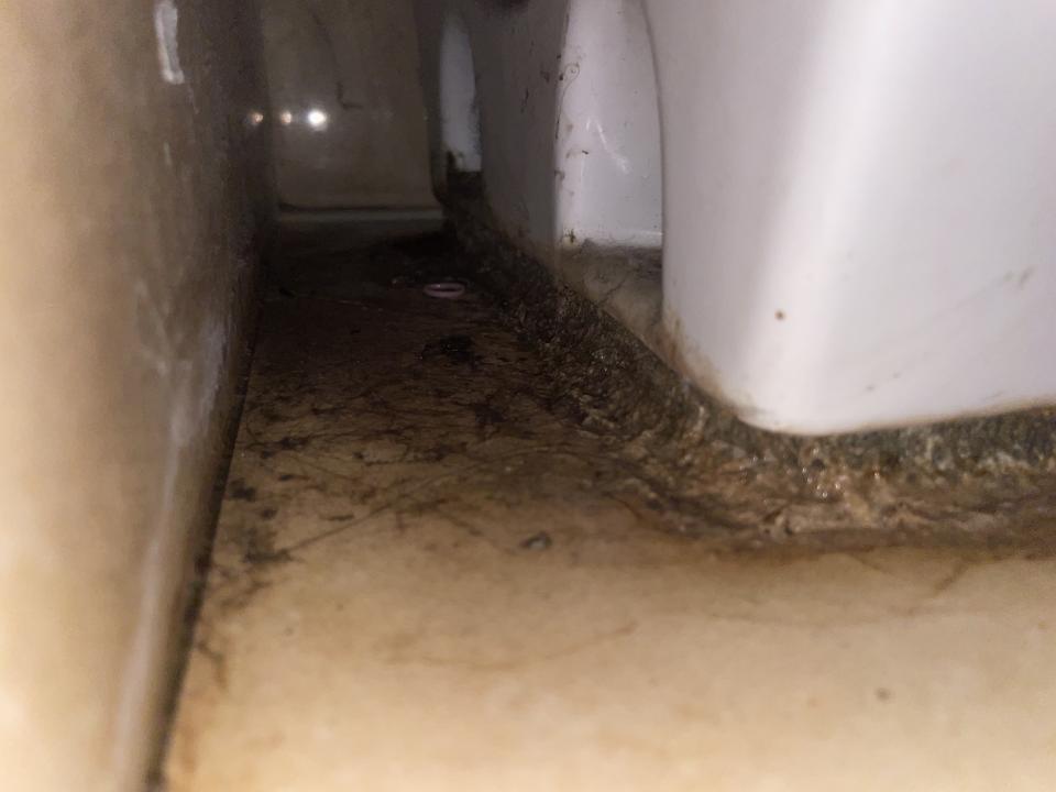 馬桶裝修案件圖片