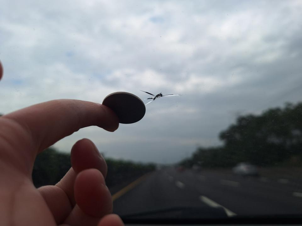 汽車玻璃修補案件圖片 汽車玻璃修補案件圖片