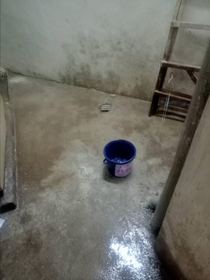 抓漏案件圖片 抓漏案件圖片