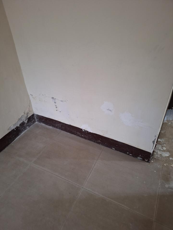 油漆工程案件圖片 油漆工程案件圖片