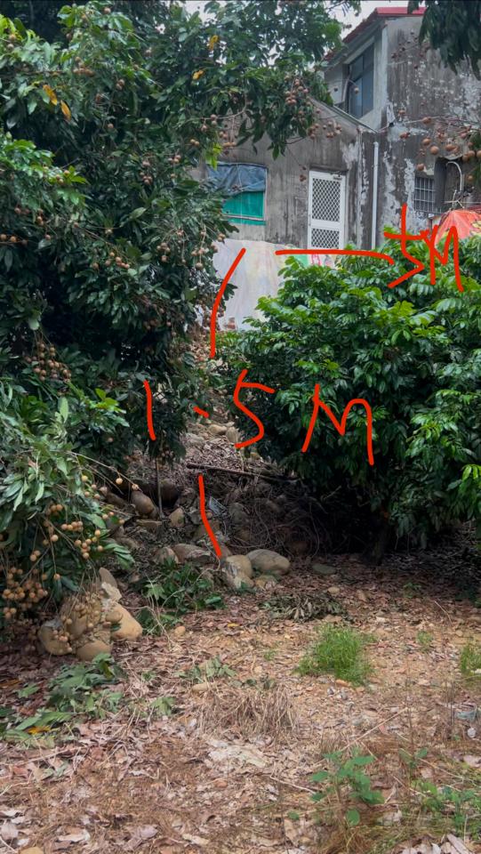 統包工程案件圖片 統包工程案件圖片